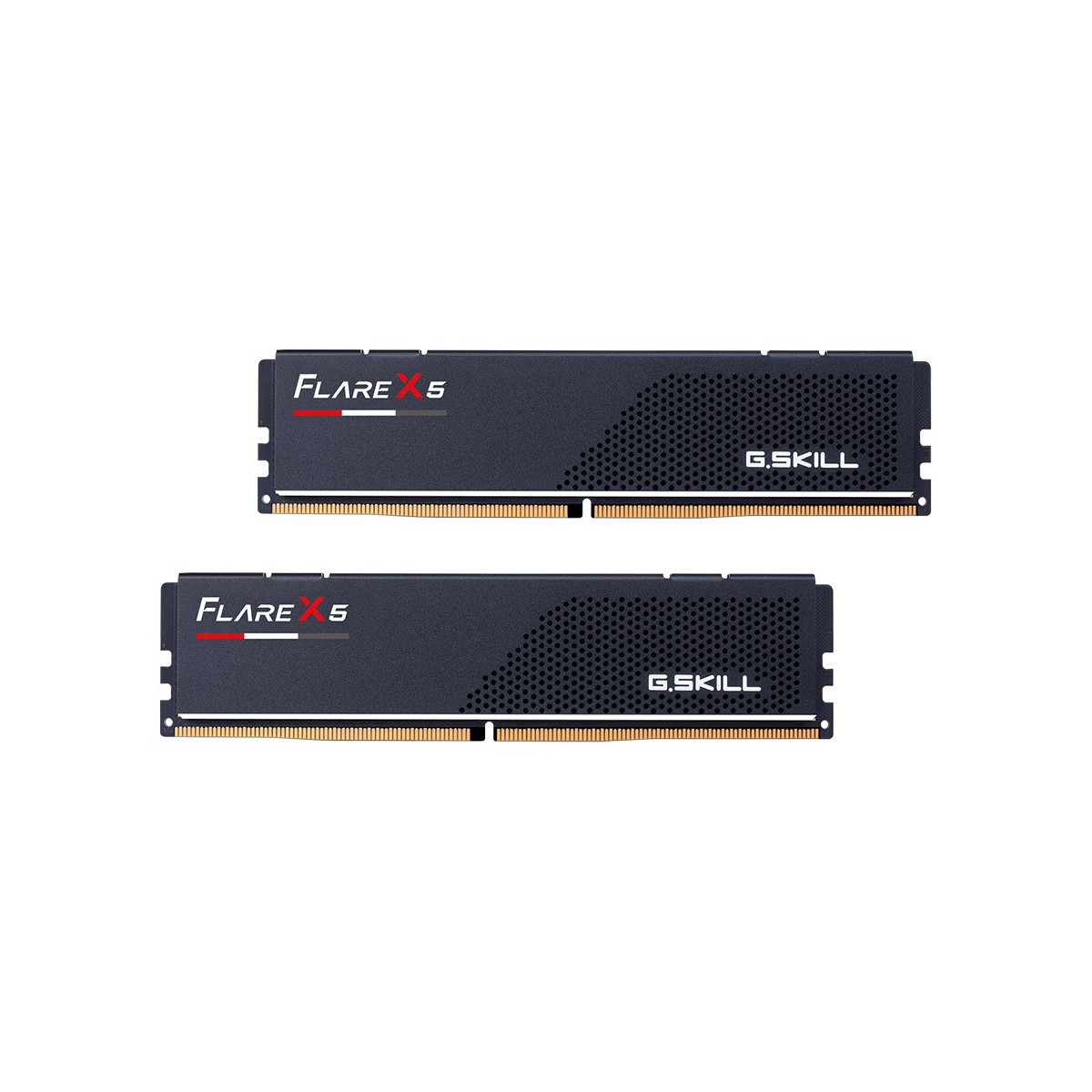 G.Skill Flare X5 64GB