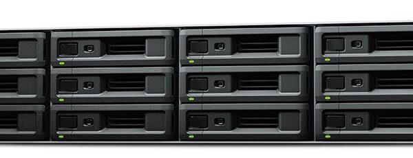 Synology RackStation RS3621RPXS NAS/storage server Rack (2U) Ethernet LAN Black D-1531
