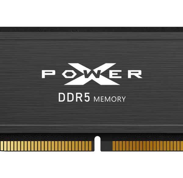 Silicon Power XPOWER Pulse memory module 64 GB 2 x 32 GB DDR5 6000 MHz ECC (SP064GXLWU60BFDJ)